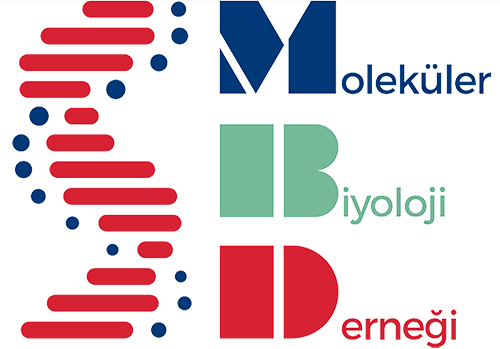 MBD Logo