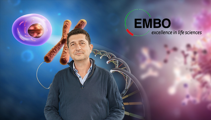 IBG GROUP LEADER IS AWARDED EMBO INSTALLATION GRANT