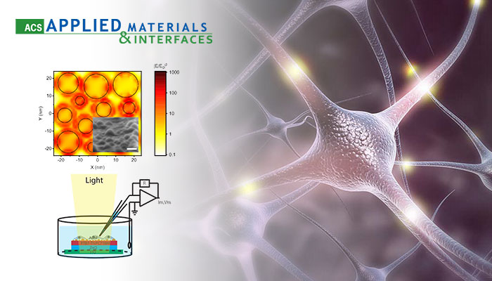 A COLLABORATIVE NEW STUDY: PLASMON-COUPLED PHOTOCAPACITOR NEUROMODULATORS