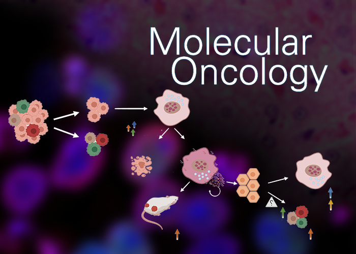 A NEW STUDY ON THE TUMORIGENICITY OF DRUG INDUCED SENESCENCE