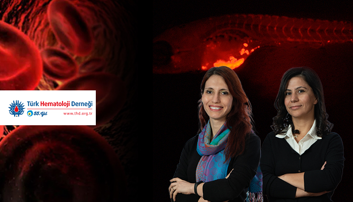 IBG RESEARCHERS RECEIVED THE TURKISH SOCIETY OF HEMATOLOGY GRANT SUPPORT