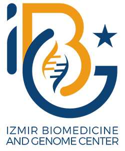 IBG Logo 250 px